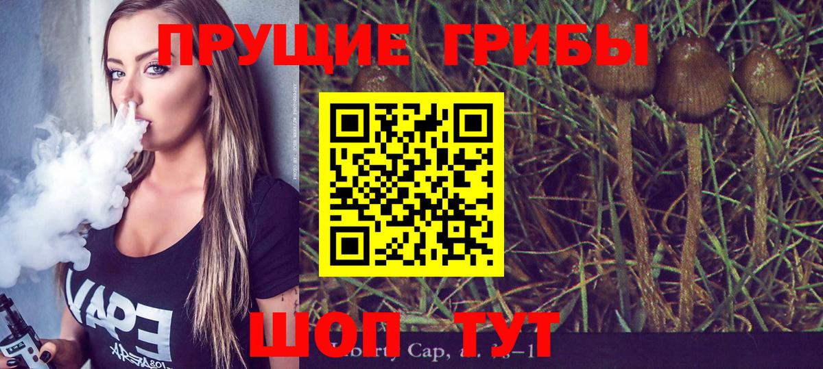 Истра  Галлюциногенные грибы MAGIC MUSHROOMS  Вход с VPN 