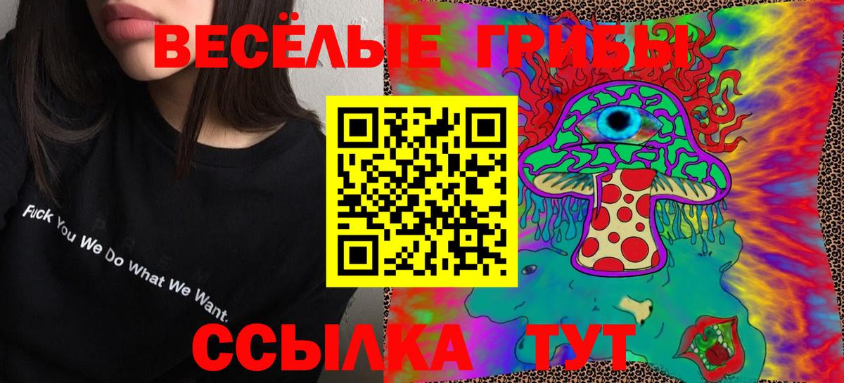 Псилоцибиновые грибы GOLDEN TEACHER Истра
